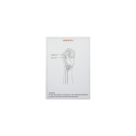 A Manual of Acupuncture