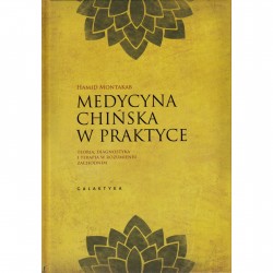 Medycyna chińska w praktyce. Teoria, diagnostyka i terapia w rozumieniu zachodnim.