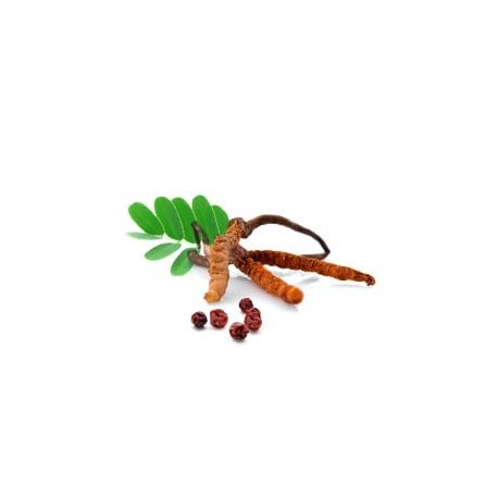 MycoAir II Suplement diety