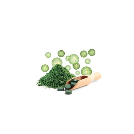 Bio Chlorella Suplement diety