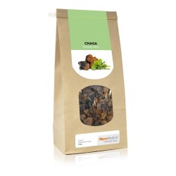 Chaga - suszone grzyby