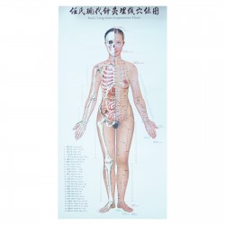 Zestaw 3 plakatów - kobieta - 72 x 38 cm