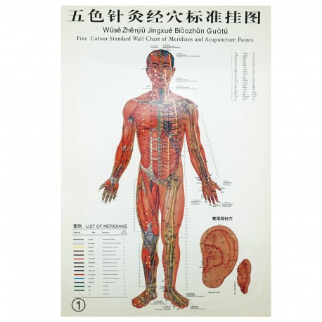 Zestaw 3 plakatów - mężczyzna - 37 x 26 cm