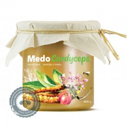 MedoCordyceps - Miód + Cordyceps - MycoMedica