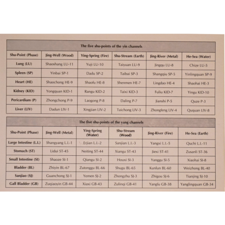 A Manual of Acupuncture