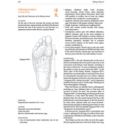 A Manual of Acupuncture - książka