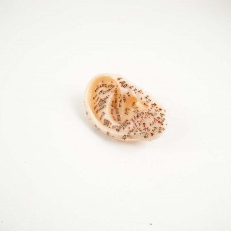 Model akupunkturowy ucha - 7,5 cm