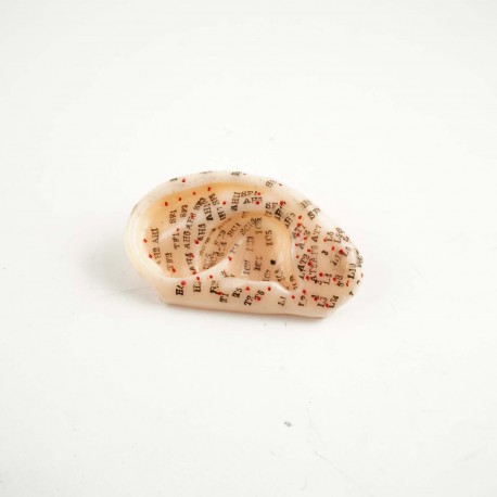 Model akupunkturowy ucha - 7,5 cm