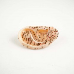 Model akupunkturowy ucha - 7,5 cm