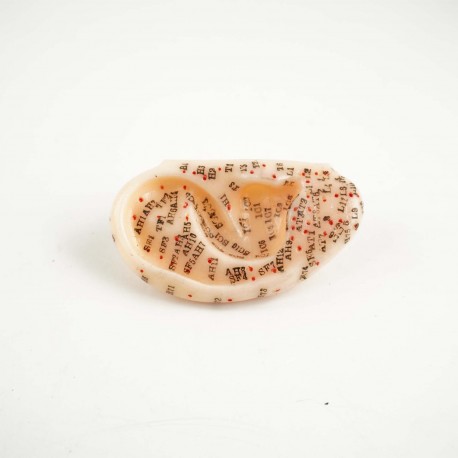 Model akupunkturowy ucha - 7,5 cm