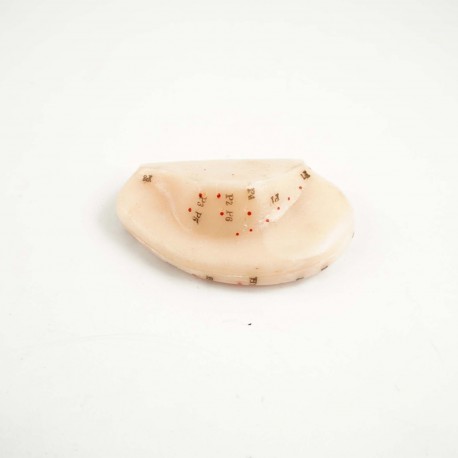 Model akupunkturowy ucha - 7,5 cm