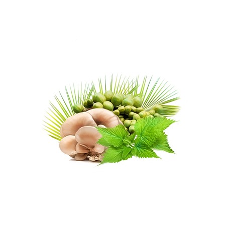 MycoProsten Suplement diety - MycoMedica