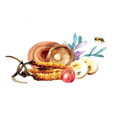 MedoComplex - Miód + Agaricus + Cordyceps + Reishi + Shiitake - MycoMedica