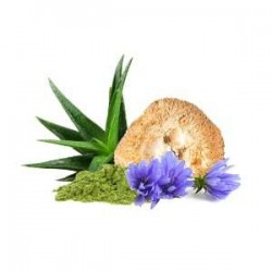 MycoGastro Suplement diety - MycoMedica