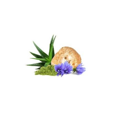 MycoGastro Suplement diety - MycoMedica