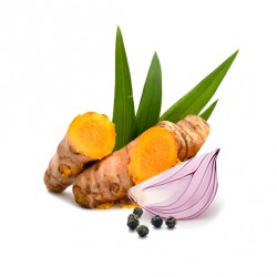 Curcumin Suplement diety - MycoMedica