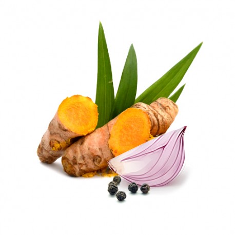 Curcumin Suplement diety - MycoMedica