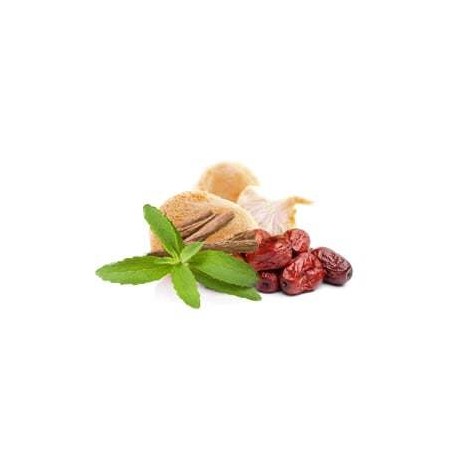 Mieszanka grzybów MycoStress Suplement diety - MycoMedica
