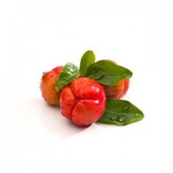 Acerola Suplement diety - MycoMedica