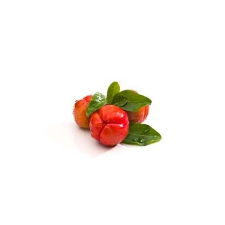 Acerola Suplement diety - MycoMedica