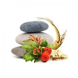 Mieszanka grzybów MycoBalance Suplement diety - MycoMedica