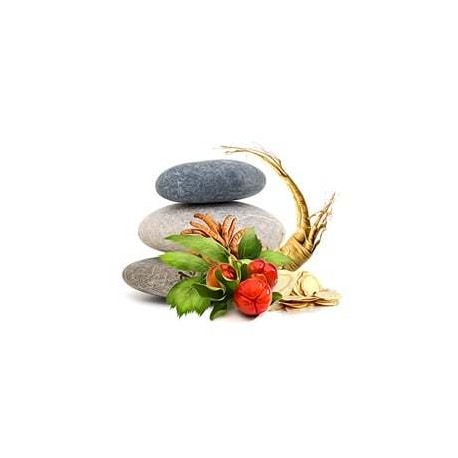 Mieszanka grzybów MycoBalance Suplement diety - MycoMedica
