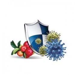 BetaGlukan BIOcell Suplement diety - MycoMedica