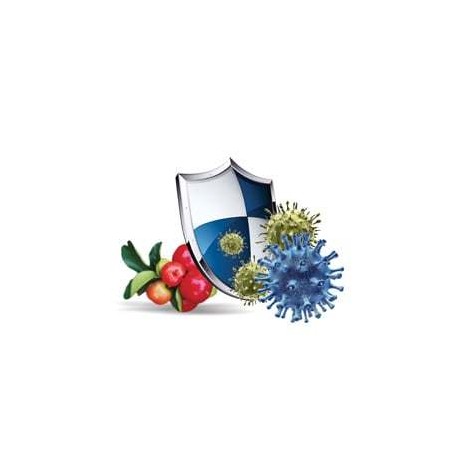 BetaGlukan BIOcell Suplement diety - MycoMedica