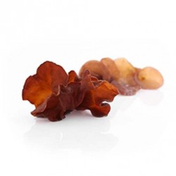 Auricularia - suszone grzyby - MycoMedica