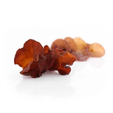 Auricularia - suszone grzyby - MycoMedica