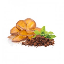 BIO Maitake w proszku - Suplement diety - MycoMedica