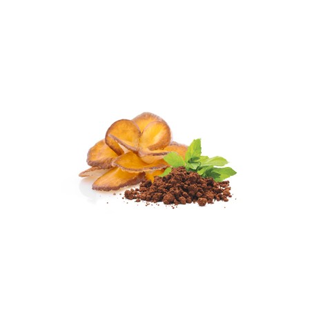 BIO Maitake w proszku - Suplement diety - MycoMedica