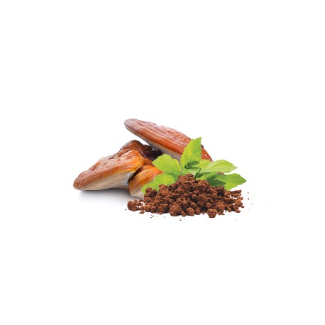 BIO Reishi w proszku - Suplement diety - MycoMedica