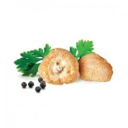 Hericium - suszone grzyby - MycoMedica