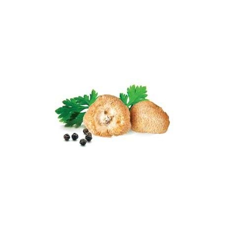 Hericium - suszone grzyby - MycoMedica