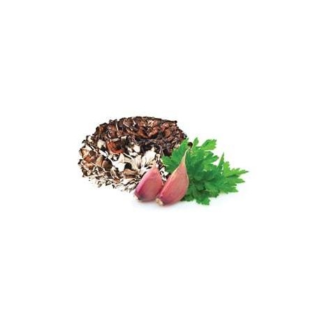 Maitake - suszone grzyby - MycoMedica