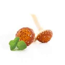 Agaricus - suszone grzyby - MycoMedica