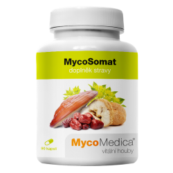 MycoSomat Suplement diety - MycoMedica