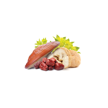 MycoSomat Suplement diety - MycoMedica