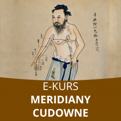 E- Kurs Meridiany cudowne w praktyce doktora Gelmana