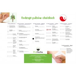 Plakat - rodzaje pulsów chińskich - 60 x 42 cm