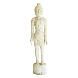 Drewniany model akupunkturowy człowieka - 160 cm