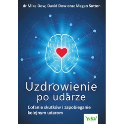 Uzdrowienie po udarze - David Dow, Megan Sutton, dr Mike Dow