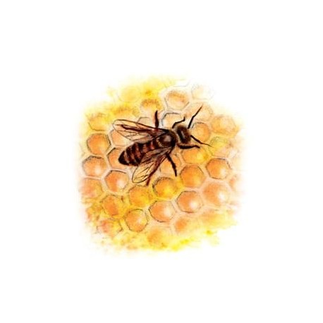 Nalewka Propolis - 099 - YaoMedica