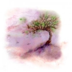 Nalewka Tong Yao Zhui Tang - 003 Uwolnienie wsparcia - YaoMedica