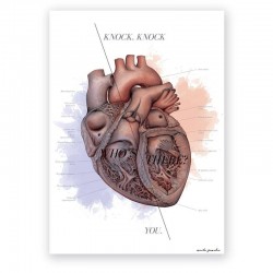 Plakat - plansza anatomiczna - budowa serca - 50 x 70 cm