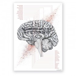 Plakat - plansza anatomiczna - przekrój mózgu - 50 x 70 cm
