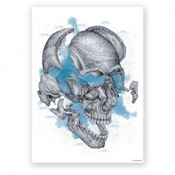 Plakat - plansza dekoracyjna - czaszka - 50 x 70 cm