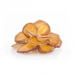 Grzyby Maitake 50% Suplement diety - MycoMedica