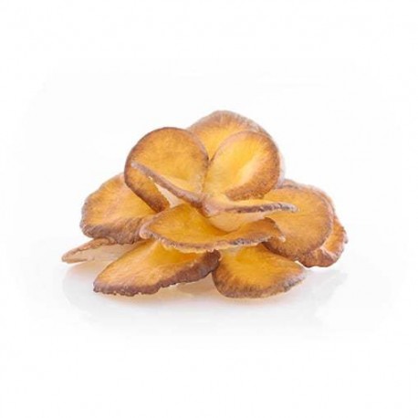 Grzyby Maitake 50% Suplement diety - MycoMedica